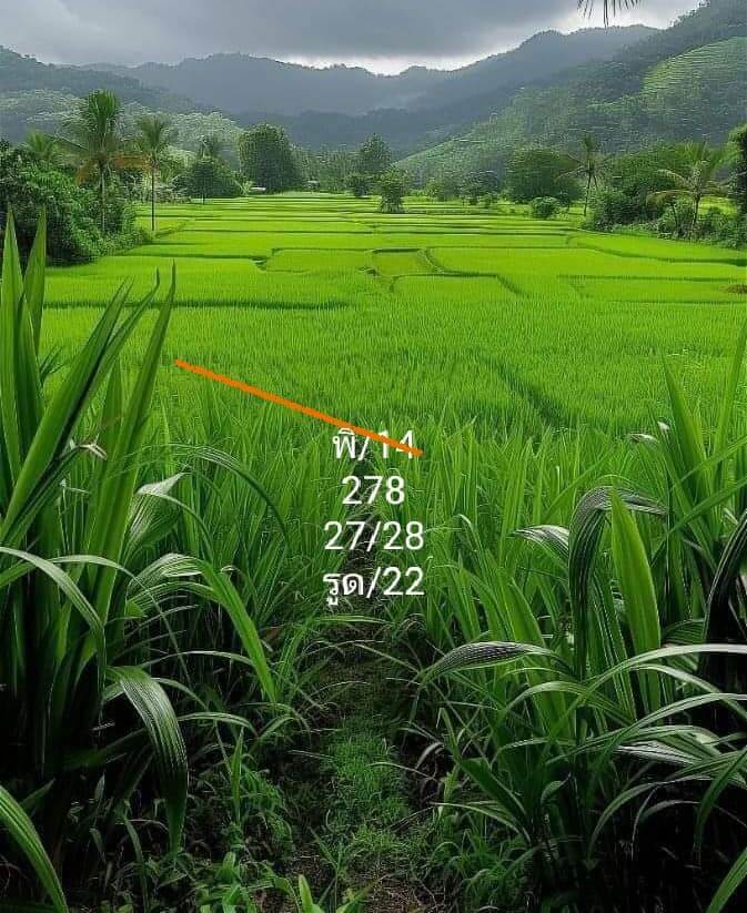 หวยฮานอย 14-12-67 ชุด9