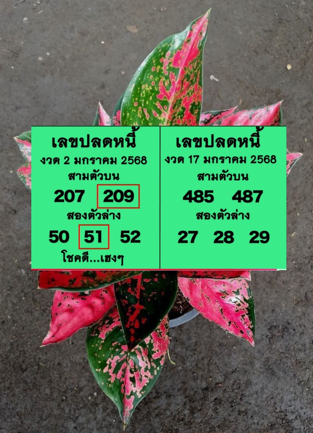 เลขเด็ดปลดหนี้