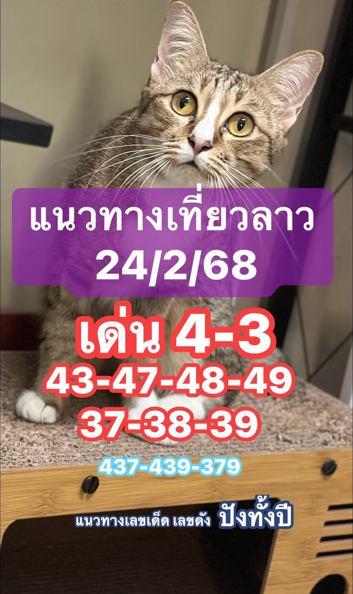 หวยลาว 24-2-68 ชุด10