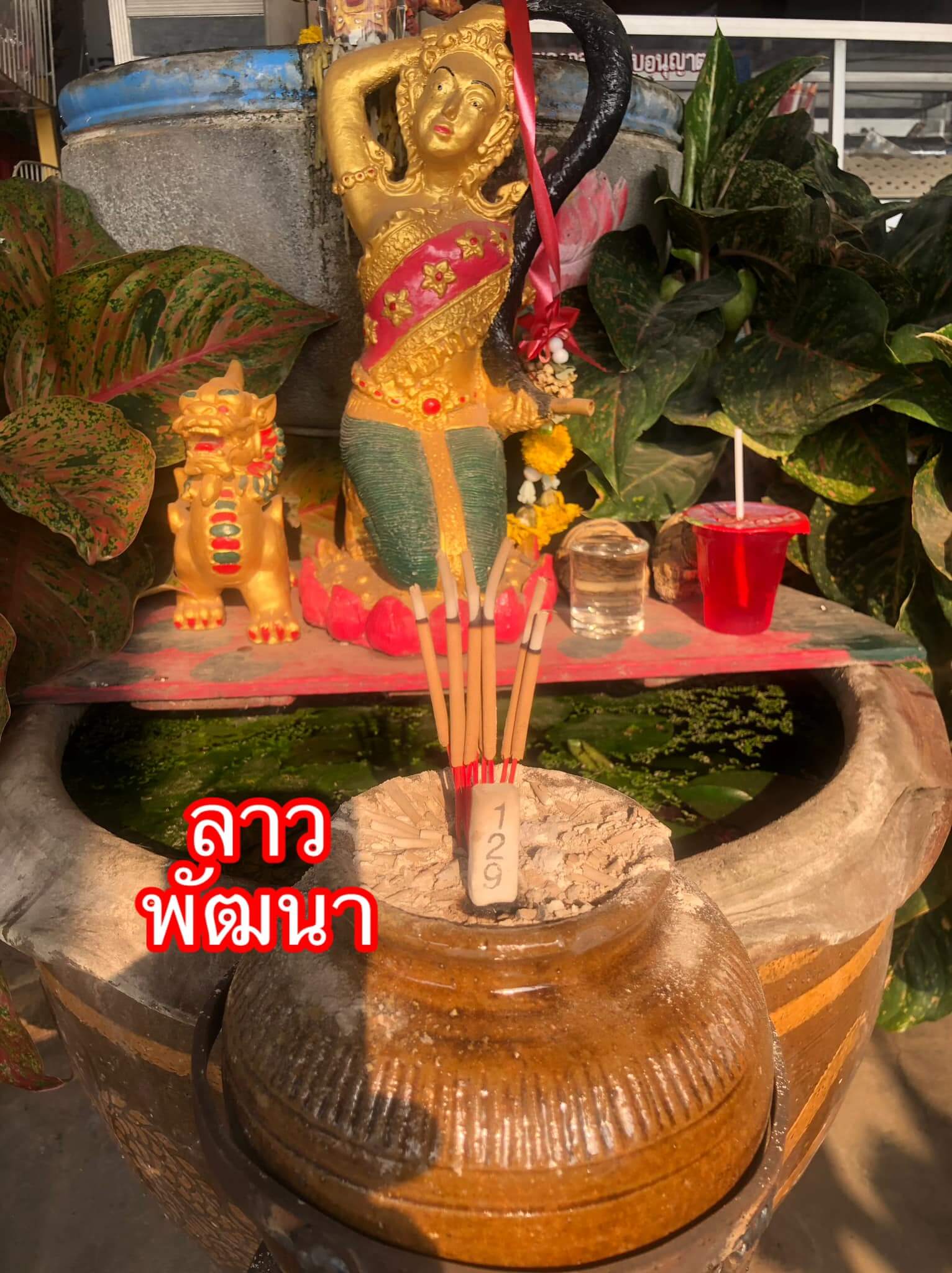 หวยลาว 26-3-68 ชุด7