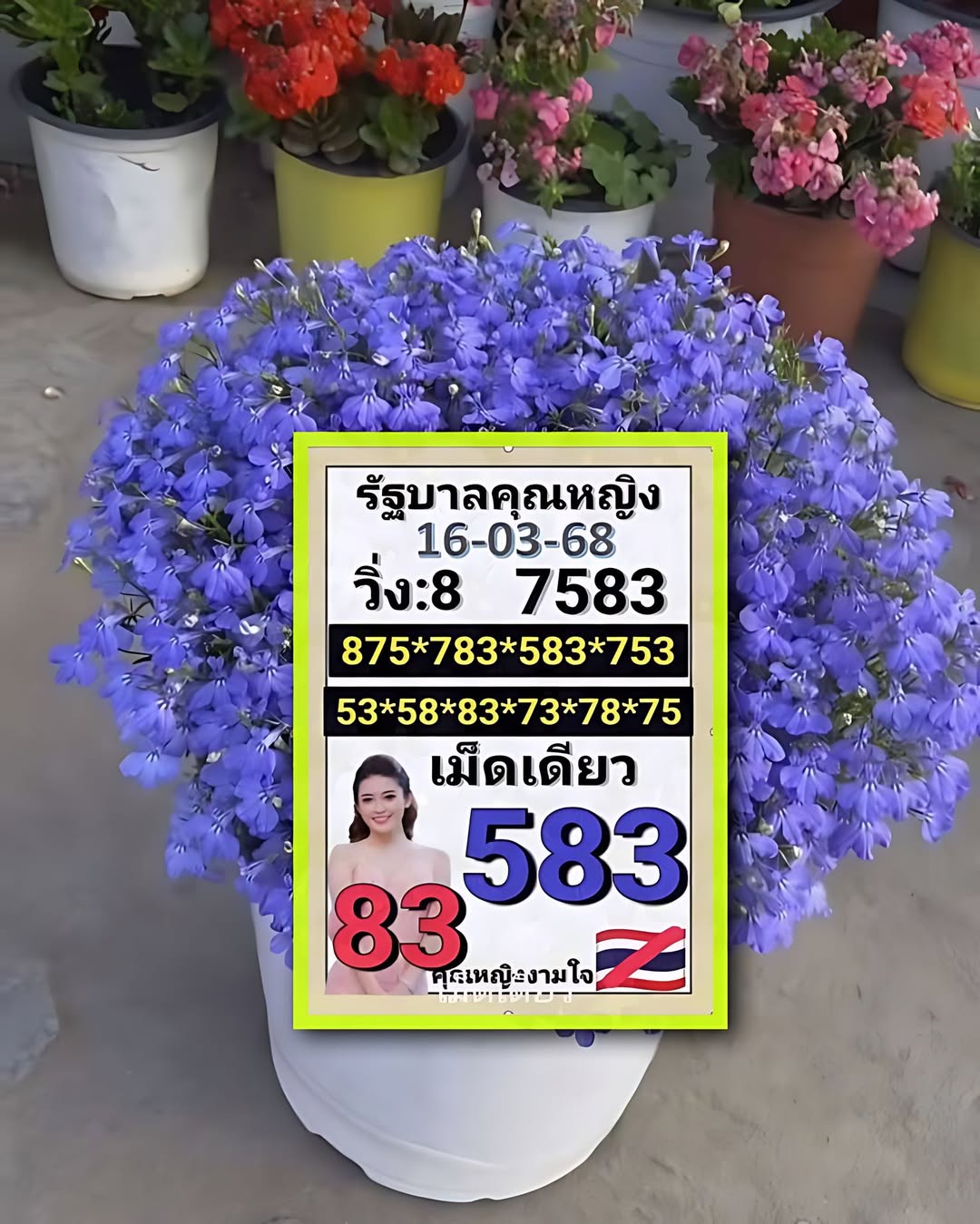 เลขเด็ดคุณหญิงงามใจ