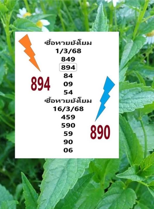 เลขเด็ดซื้อหวยยังโยม
