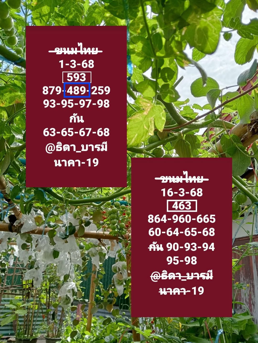 เลขเด็ดธิดาบารมีนาคา