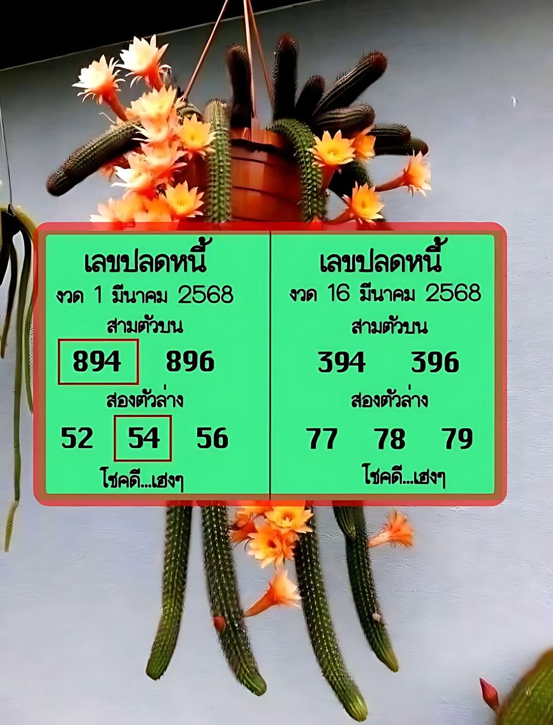 เลขเด็ดปลดหนี้