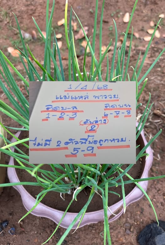 แม่แหล่ 1-4-68