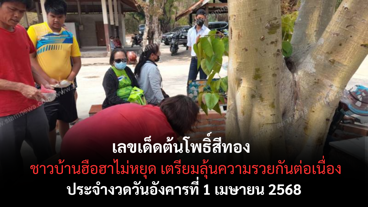 เลขเด็ดต้นโพธิ์สีทอง 1-4-68