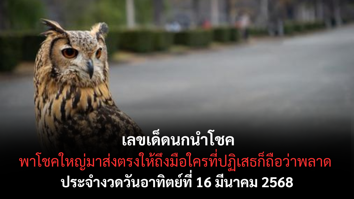 เลขเด็ดนกนำโชค